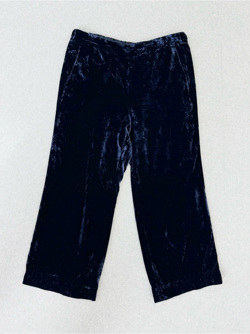 J Crew Peyton Navy Blue Crushed Velvet Pull On Pants Size 14 Whimsigoth Holiday
